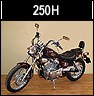 Stittsville Motorcycle AMG 1640cc Chopper