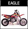 Daymak Eagle 110cc Dirt Bike