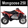 Kymco Mongoose 250 ATV Kingston