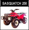 Daymak Sasquatch 250 ATV Arnprior