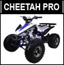 Tao Motor Cheetah Pro