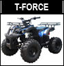 Tao Motor TForce